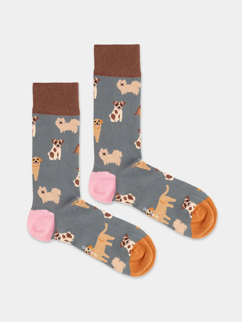 Socks - Doggy Dog - collab zürich