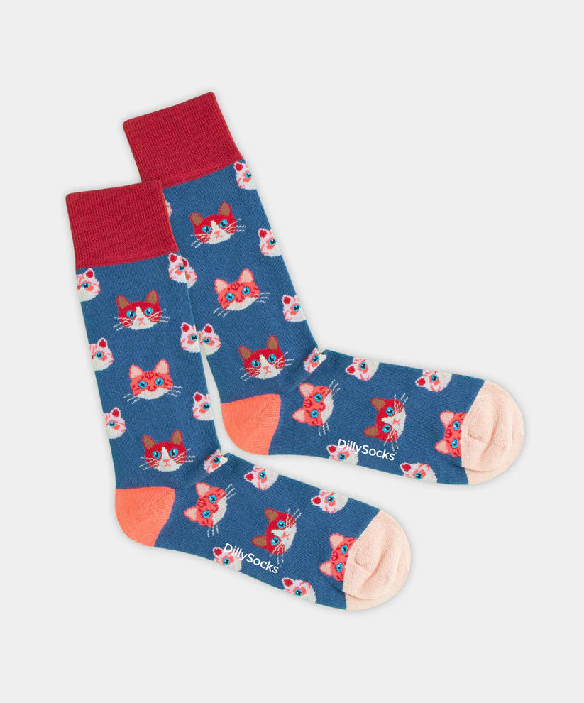 Socks - Sky Kitten - collab zürich