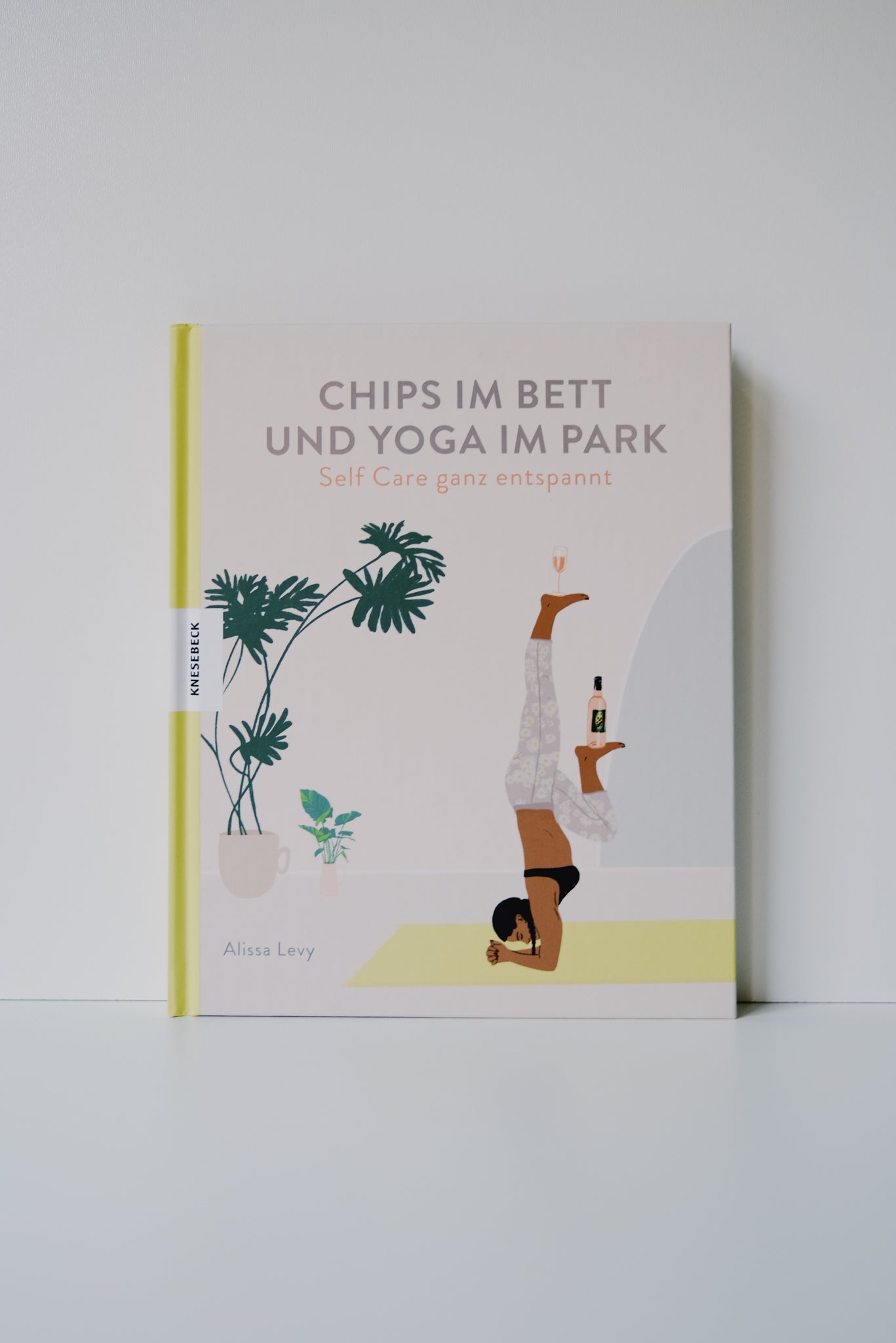 Book - Chips im Bett und Yoga Im Park - collab zürich