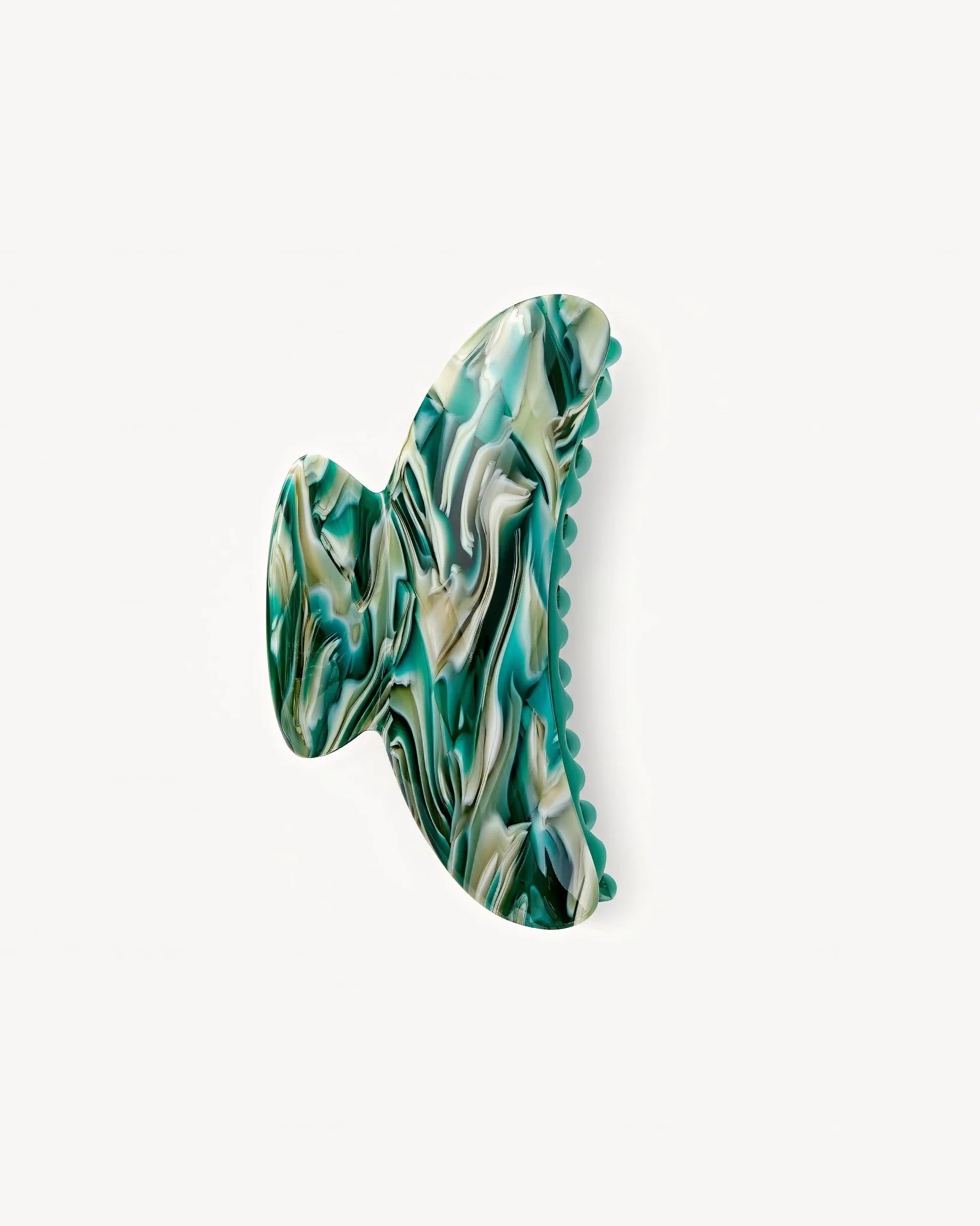 grande heirloom claw - stromanthe - collab zürich
