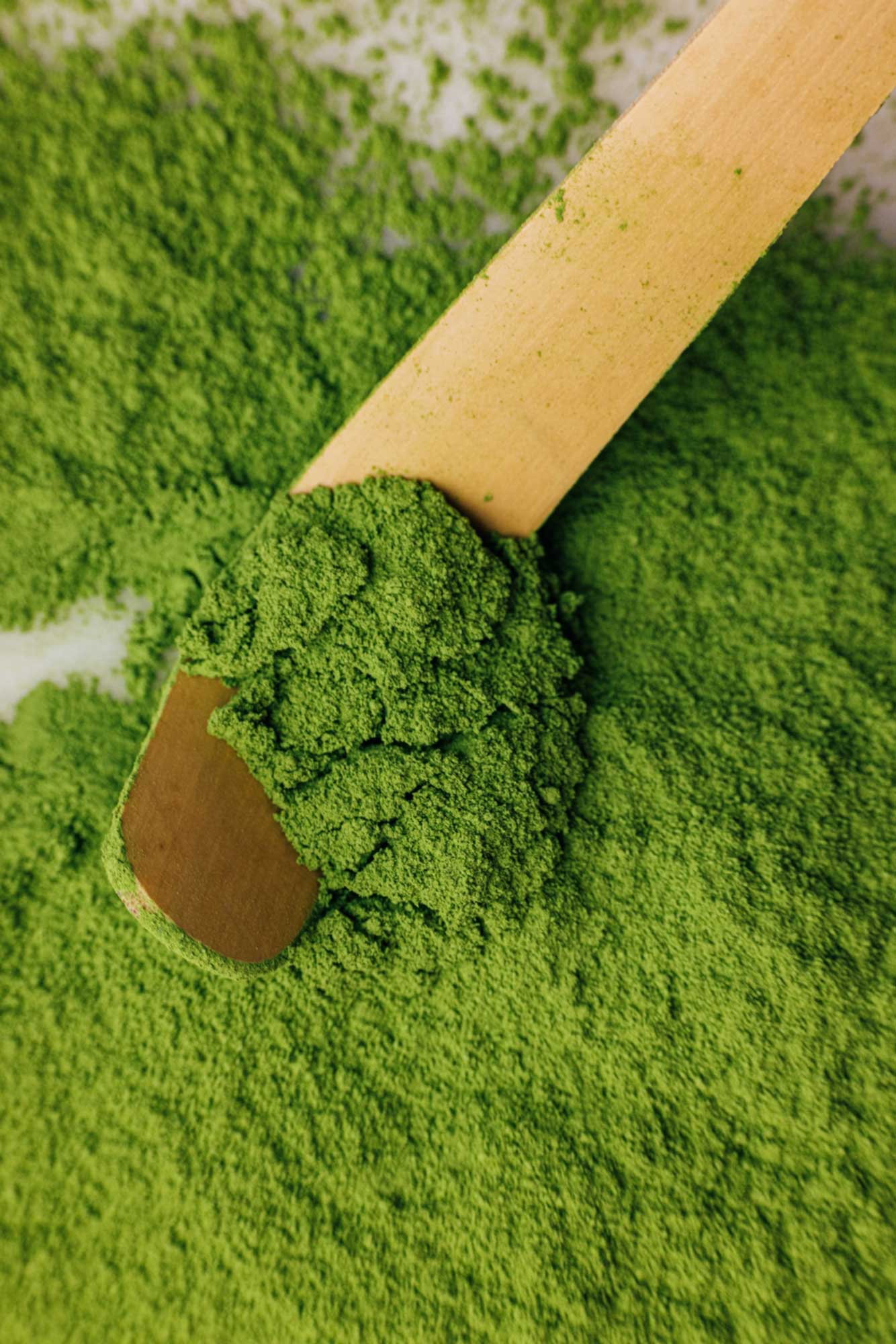 Organic Matcha - Traditional - collab zürich