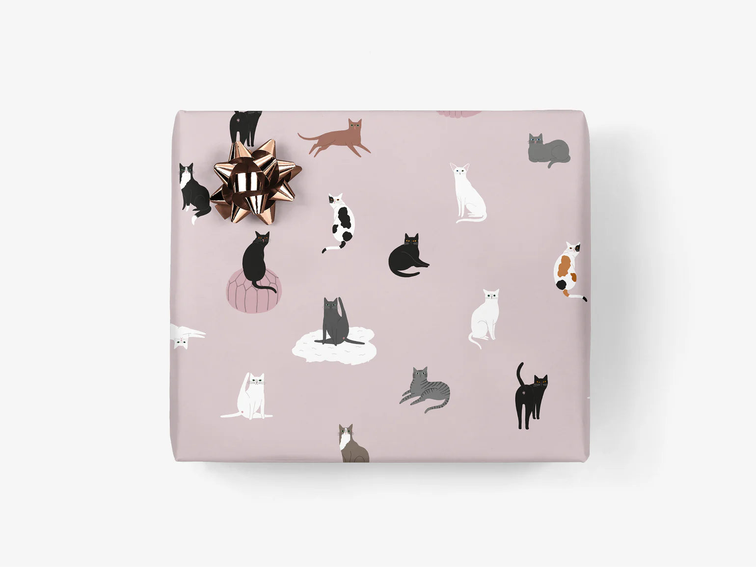 gift paper sheet - cats - collab zürich