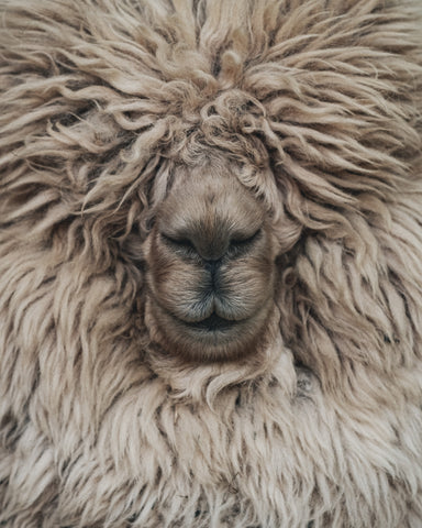 winter is coming