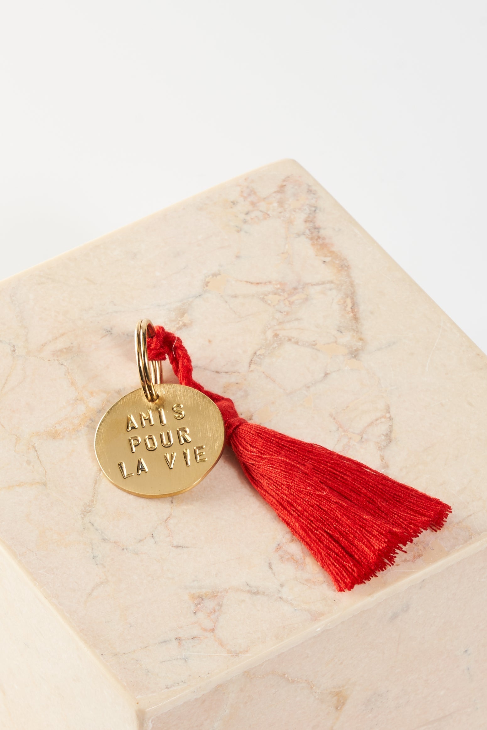 key tag - mini - amis pour la vie (charity project) - collab zürich