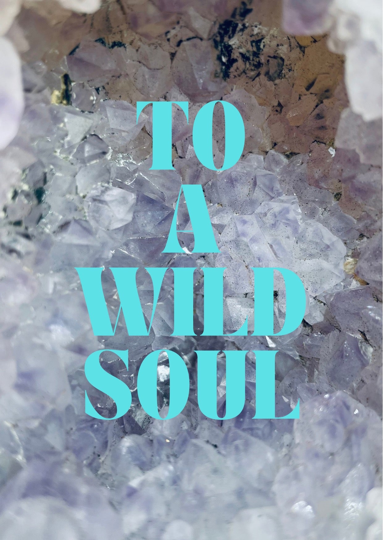 postcard - to a wild soul - collab zürich