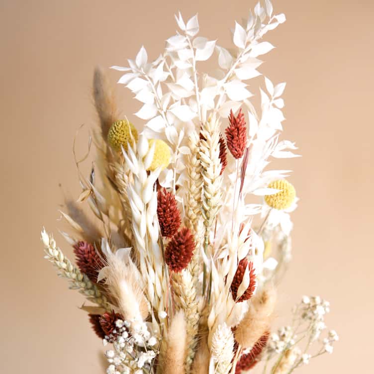 dried flowers - bouquet desert flower - collab zürich