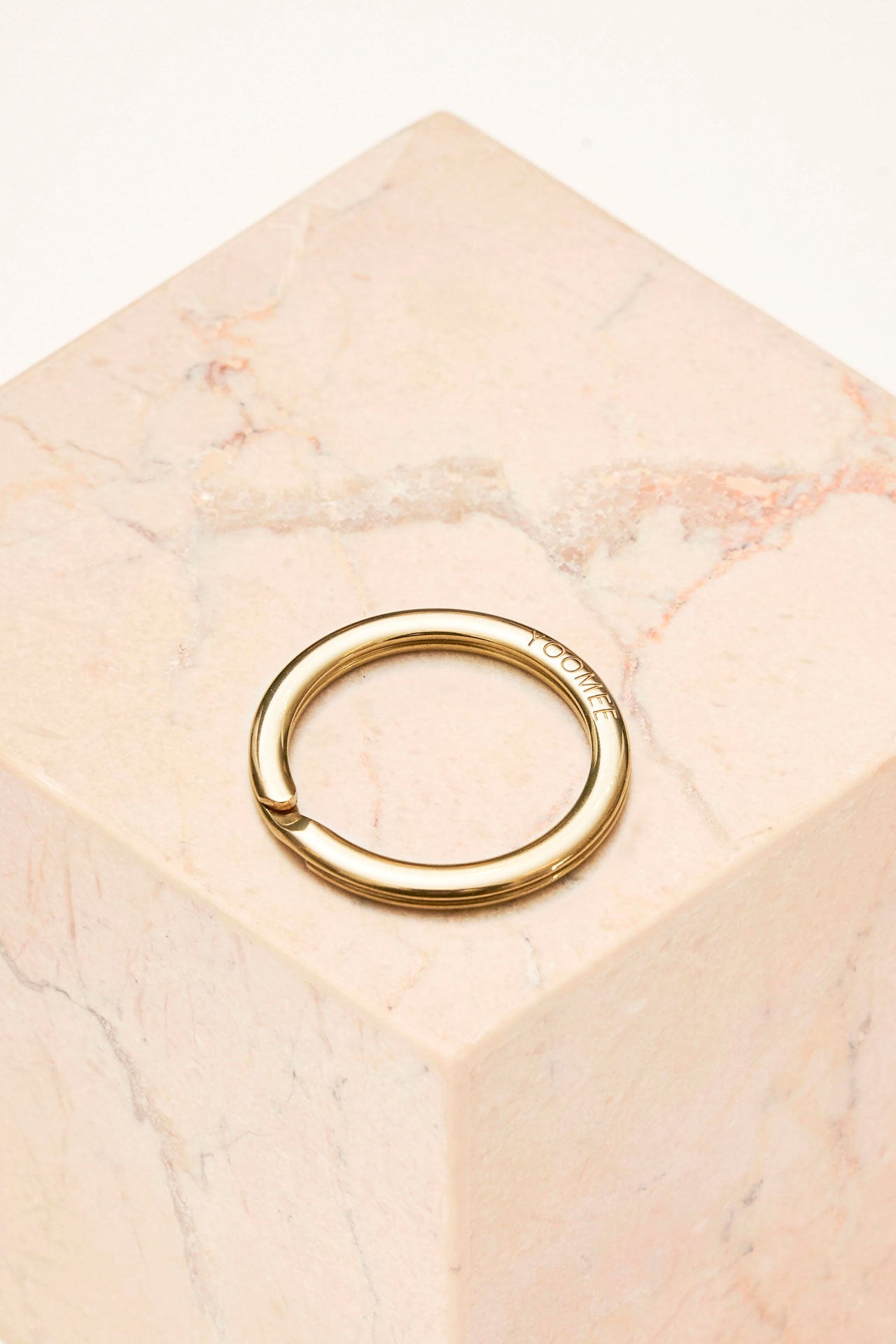 carabiner - keyring - gold - collab zürich