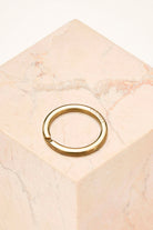 carabiner - keyring - gold - collab zürich