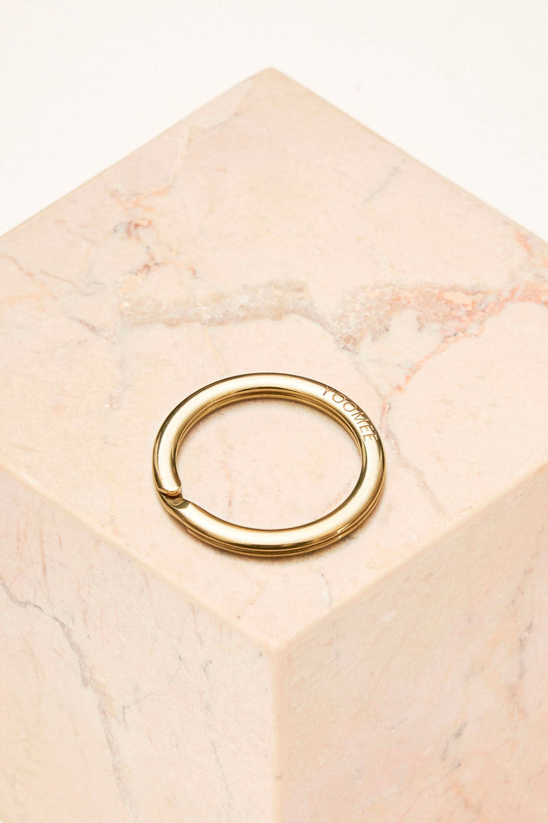 Carabiner - Keyring - Gold – collab zürich