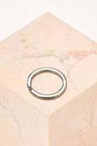 carabiner - keyring - silver - collab zürich