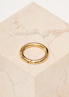 carabiner - classic circle - gold - collab zürich