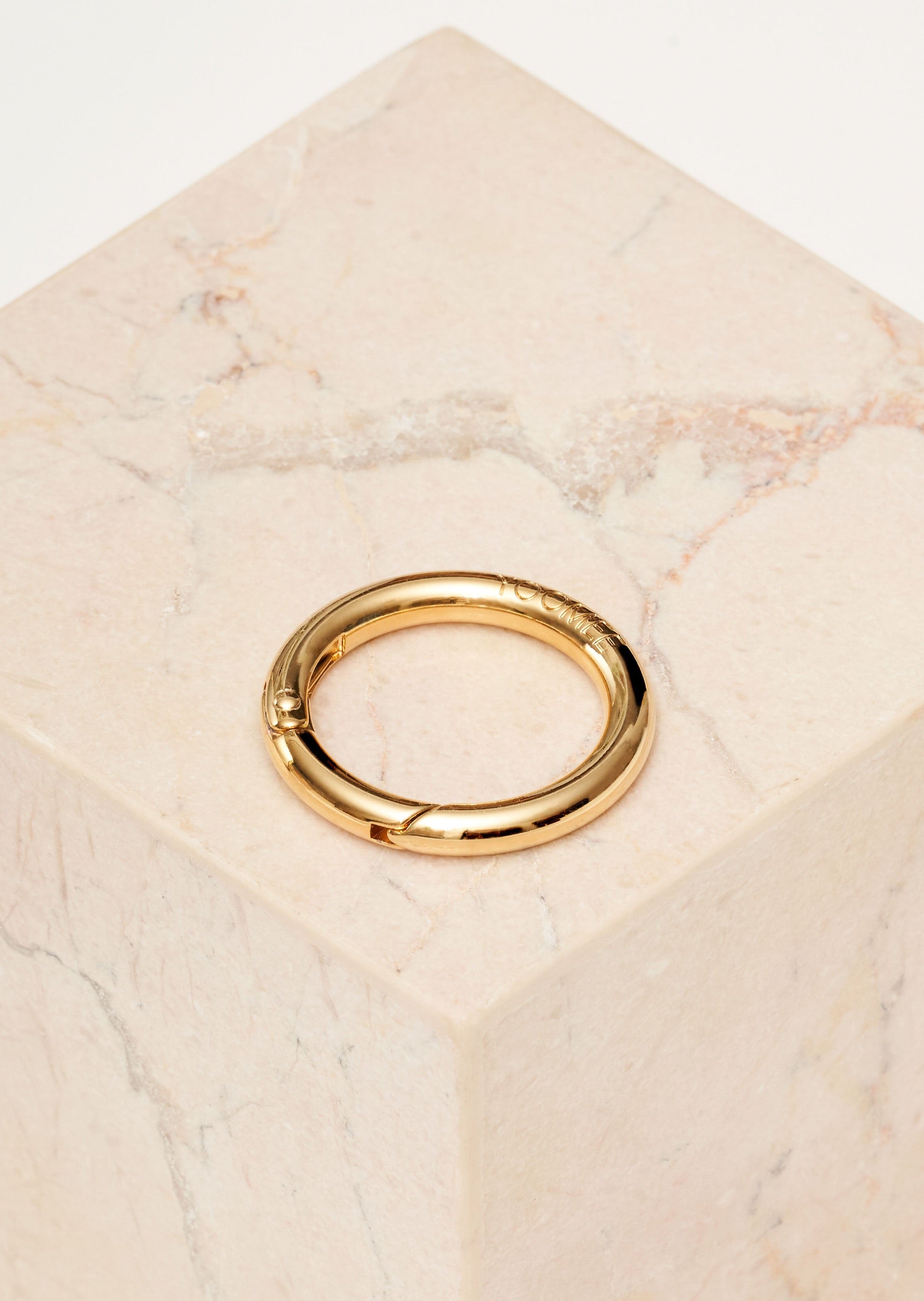 carabiner - classic circle - gold - collab zürich