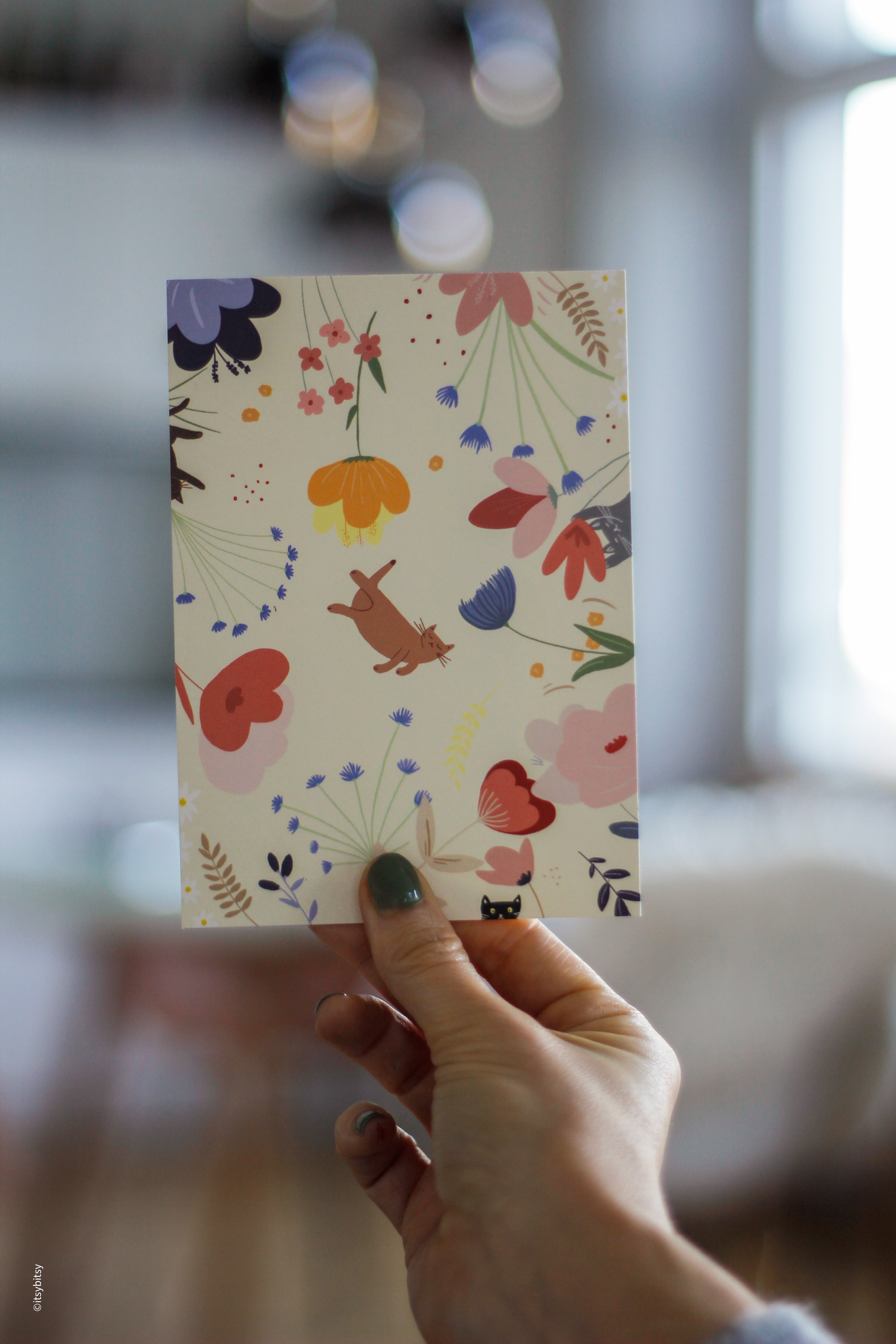 postcard - cats in paradise - collab zürich