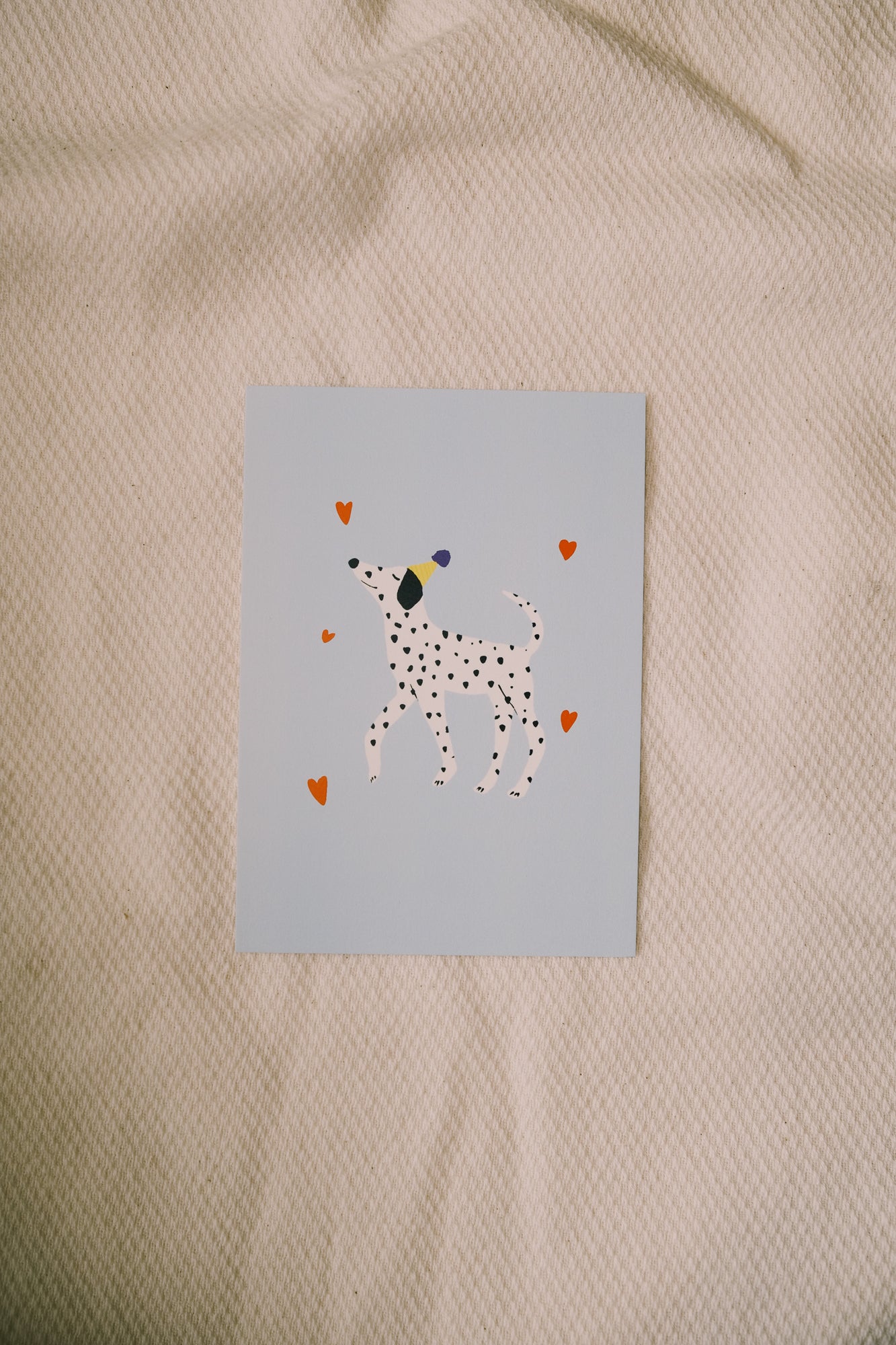 postcard - dalmatian - collab zürich