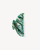 midi heirloom claw - stromanthe - collab zürich