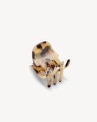 mini claw - blonde tortoise - collab zürich
