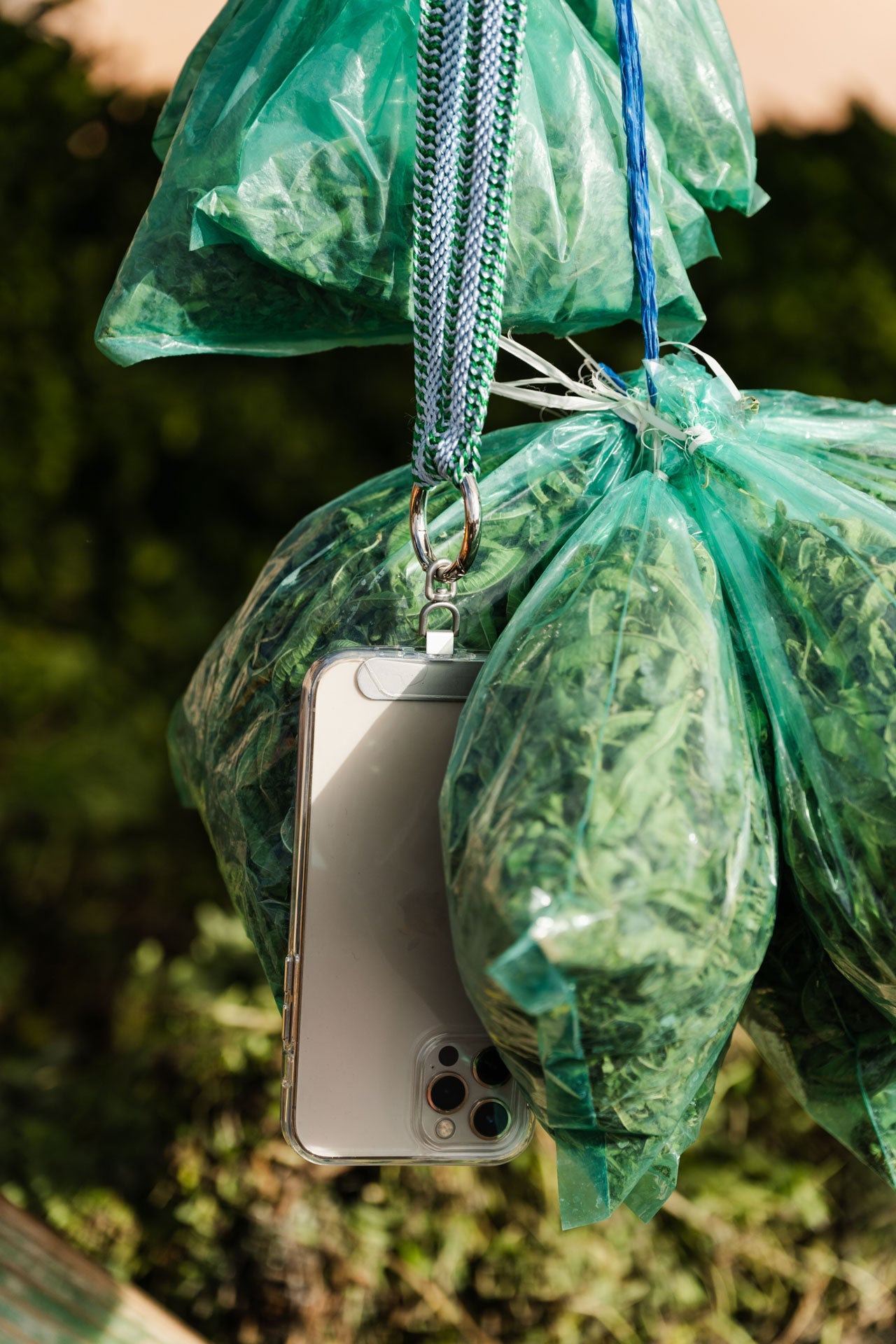 Phonechain Band - ZAHRA - Peppermint - collab zürich