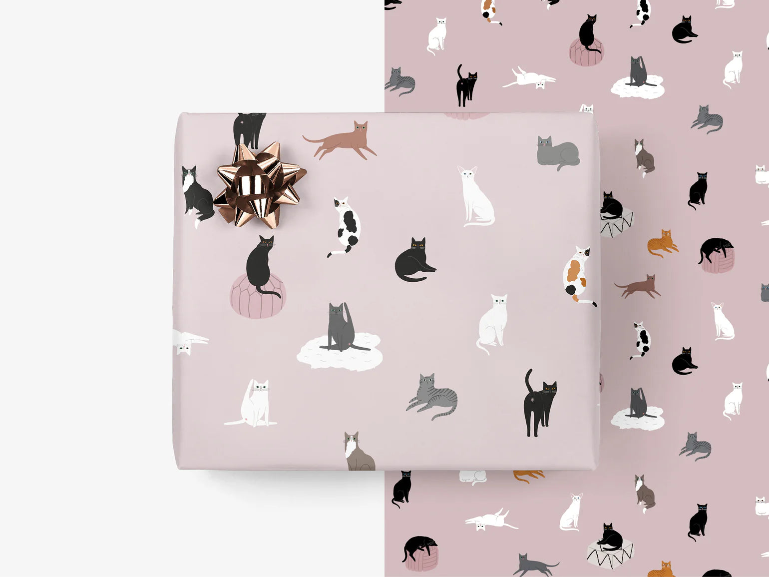 gift paper sheet - cats - collab zürich