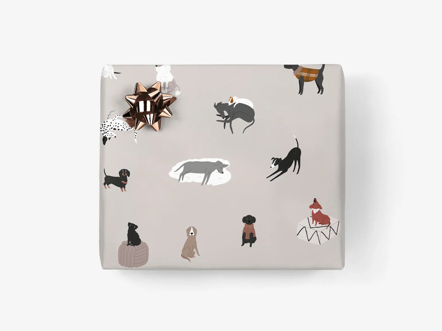 gift paper sheet - dogs - collab zürich