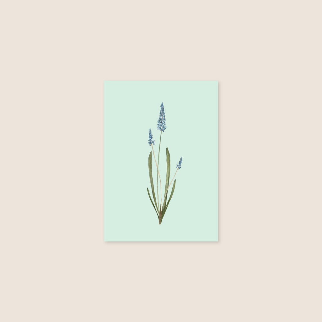 postcard - blue flower - collab zürich