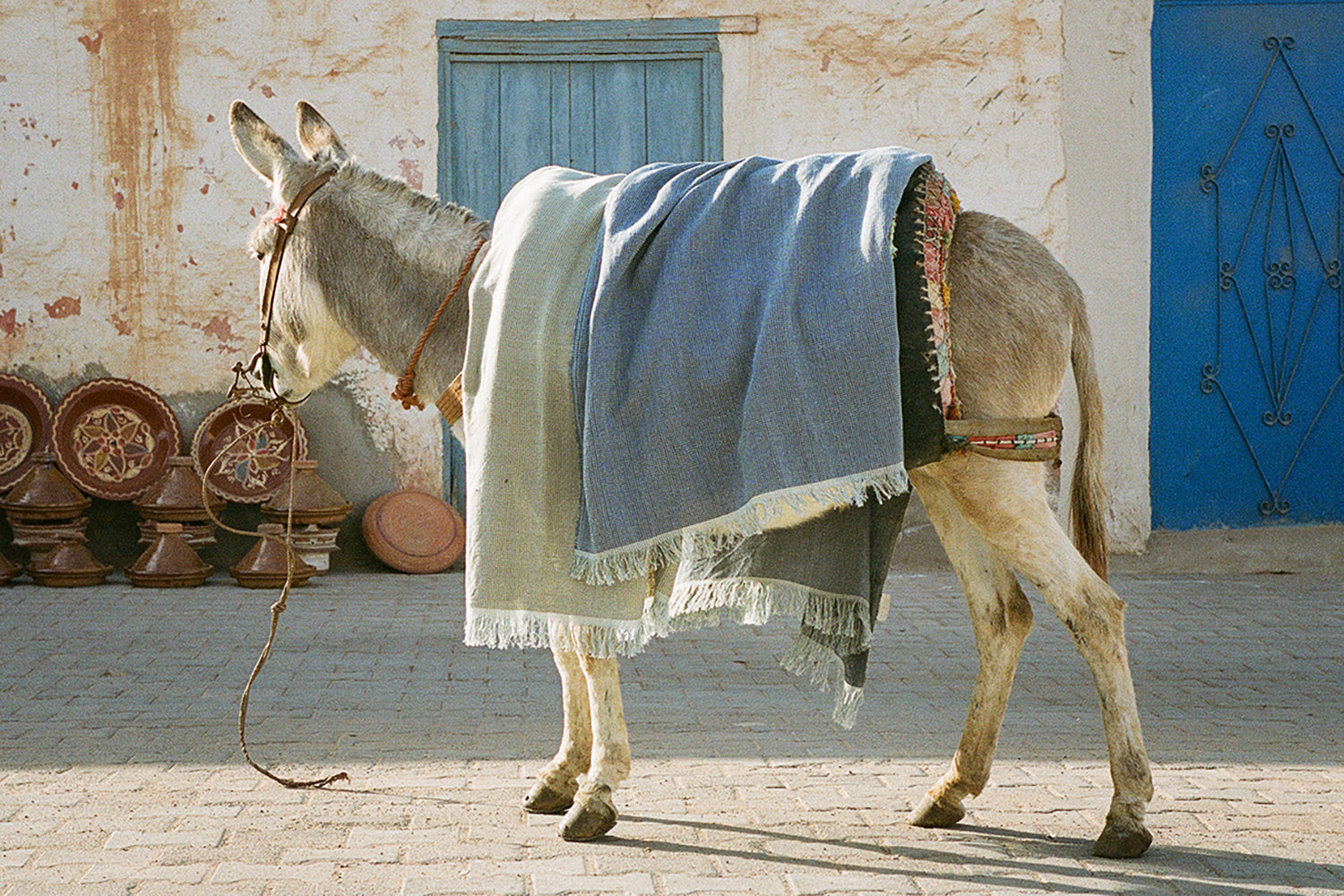 Hamam Towel - FAISSAL - Eucalyptus - collab zürich