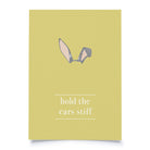 postcard - hold the ears stiff - collab zürich